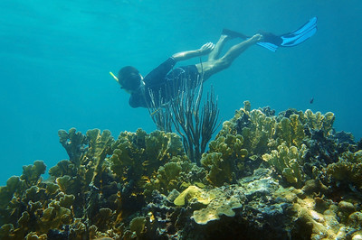 man underwater snorkeling in a coral reef